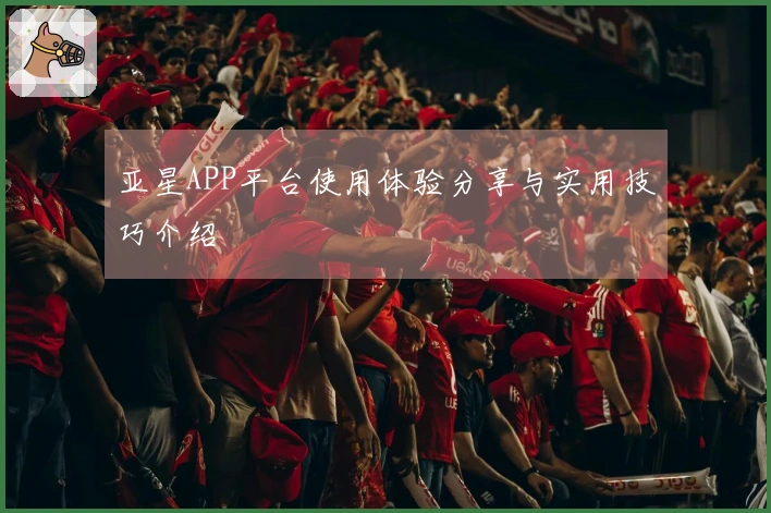 亚星APP平台使用体验分享与实用技巧介绍