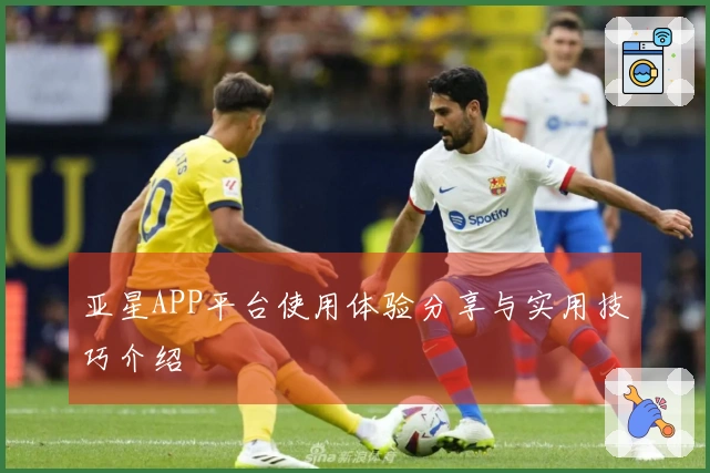 亚星APP平台使用体验分享与实用技巧介绍