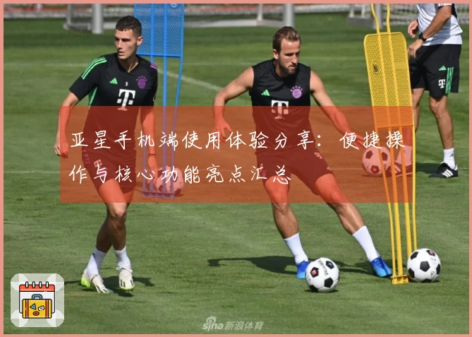 亚星手机端使用体验分享：便捷操作与核心功能亮点汇总