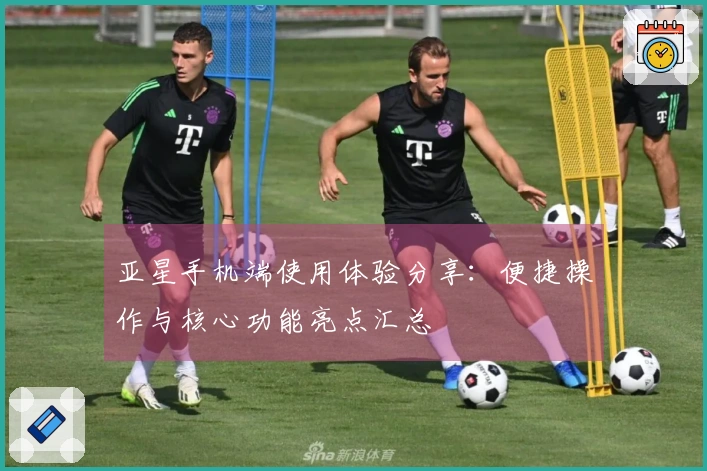 亚星手机端使用体验分享：便捷操作与核心功能亮点汇总